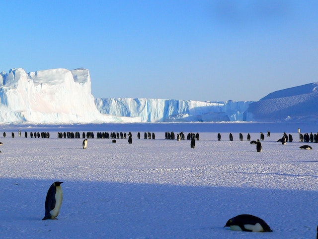 Strange Laws in Antarctica: The Icy Enigma